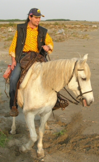 Camargue 2006