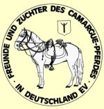 Camargue Pferdes