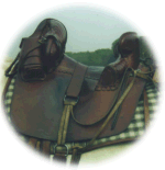 Gardianne saddle